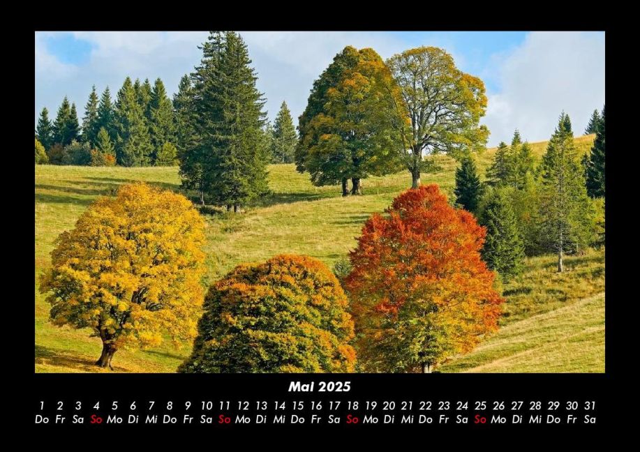 InsideView 9