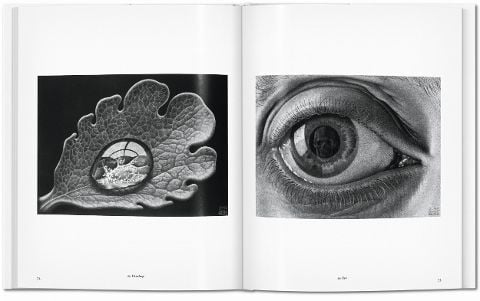 InsideView 7