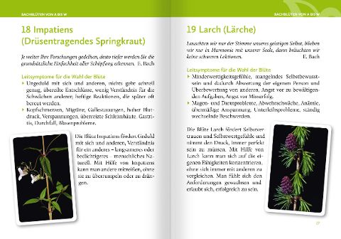 InsideView 2