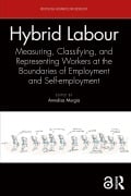 Cover-Bild zum Titel 'Hybrid Labour' von ''