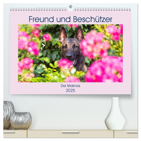 Freund und Beschützer - Der Malinois (hochwertiger Premium Wandkalender 2025 DIN A2 quer), Kunstdruck in Hochglanz - Sigrid Starick