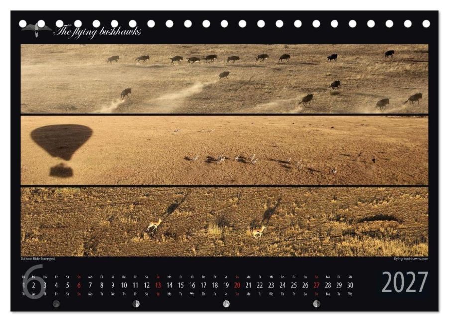 InsideView 11