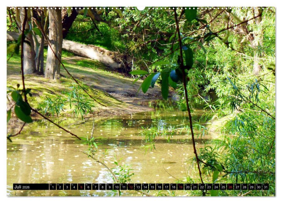 InsideView 11