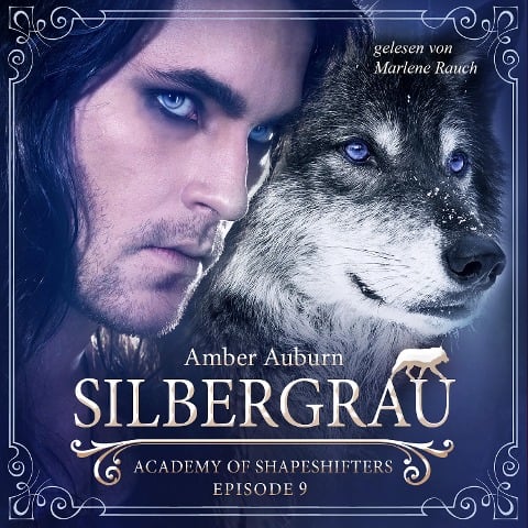 Silbergrau, Episode 9 - Fantasy-Serie - Amber Auburn