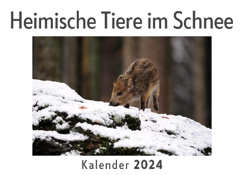 Heimische Tiere im Schnee (Wandkalender 2024, Kalender DIN A4 quer, Monatskalender im Querformat mit Kalendarium, Das perfekte Geschenk) - Anna Müller