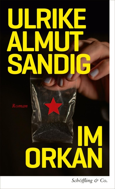 Im Orkan - Ulrike Almut Sandig
