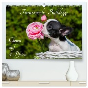 Cover-Bild zum Titel 'Französische Bulldogge - Clown auf 4 Pfoten (hochwertiger Premium Wandkalender 2026 DIN A2 quer), Kunstdruck in Hochglanz' von 'Sigrid Starick'
