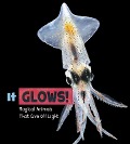 Cover-Bild zum Titel 'It Glows!' von 'Nikki Potts'