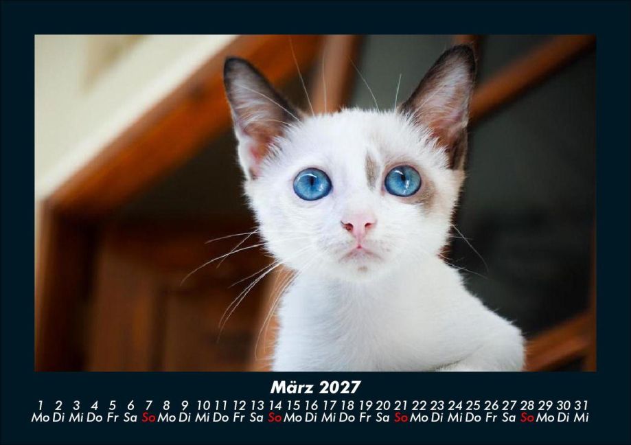 InsideView 7