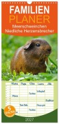 Cover-Bild zum Titel 'Familienplaner 2027 - Meerschweinchen Niedliche Herzensbrecher mit 5 Spalten (Wandkalender, 21 x 45 cm) CALVENDO' von 'Elisabeth Stanzer'