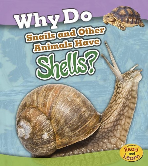 Why Do Snails and Other Animals Have Shells? - Holly Beaumont