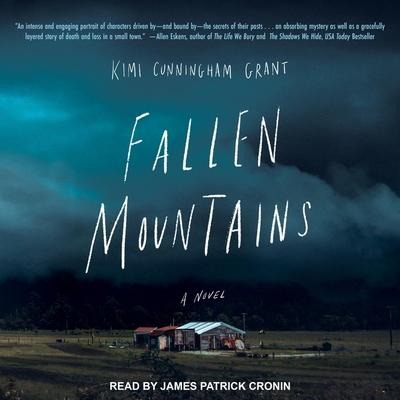 Fallen Mountains - Kimi Cunningham Grant