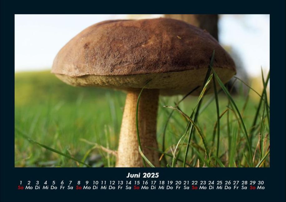 InsideView 10