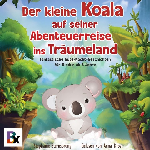 Der kleine Koala auf seiner Abenteuerreise ins Träumeland - Stephanie Sternsprung