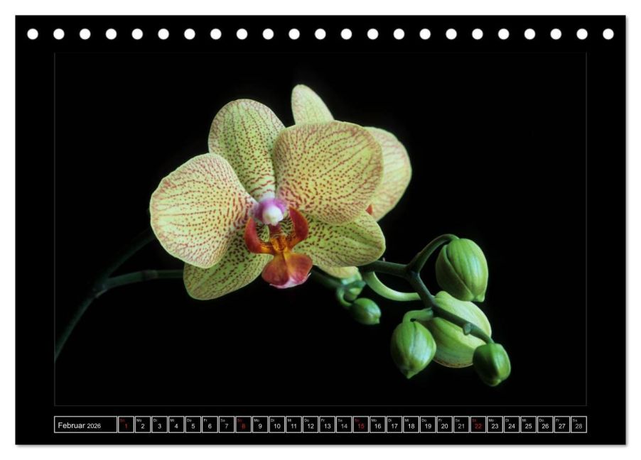 InsideView 7