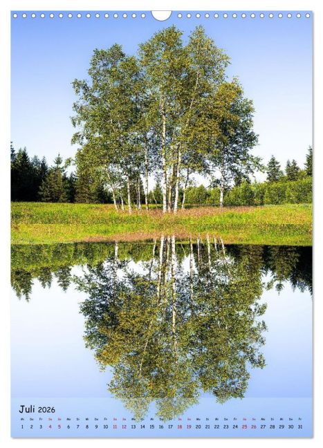 InsideView 12