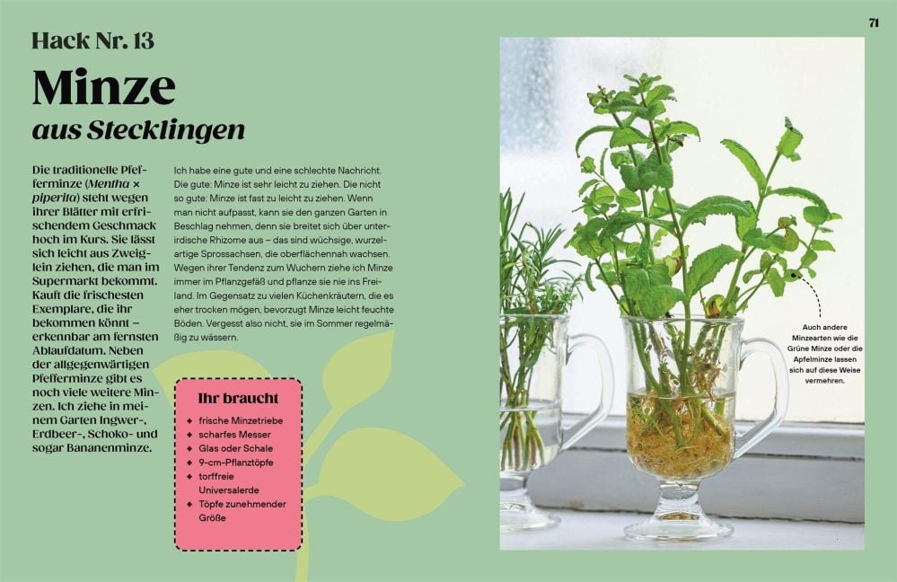 InsideView 5