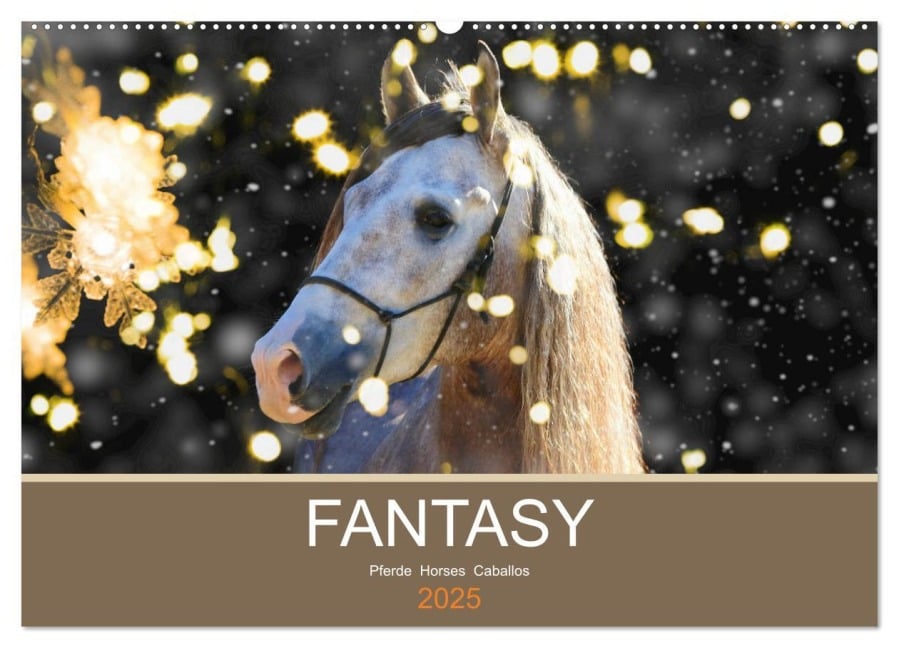 FANTASY Pferde Horses Caballos (Wandkalender 2025 DIN A2 quer), CALVENDO Monatskalender - Petra Eckerl Tierfotografie