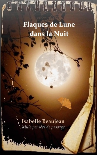 Flaques de Lune dans la Nuit - Isabelle Beaujean