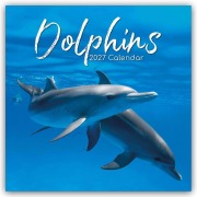 Cover-Bild zum Titel 'Dolphins - Delfine - Delphine 2027 - 16-Monatskalender' von 'The Gifted'