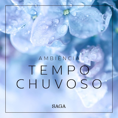 Ambiência - Tempo Chuvoso - Rasmus Broe