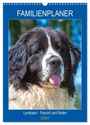 Cover-Bild zum Titel 'Familienplaner Landseer - Freund und Retter (Wandkalender 2027 DIN A3 hoch), CALVENDO Monatskalender' von 'Sigrid Starick'