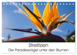 Cover-Bild zum Titel 'Strelitzien - die Paradiesvögel unter den Blumen (Tischkalender 2026 DIN A5 quer), CALVENDO Monatskalender' von 'Silvia Schröder'