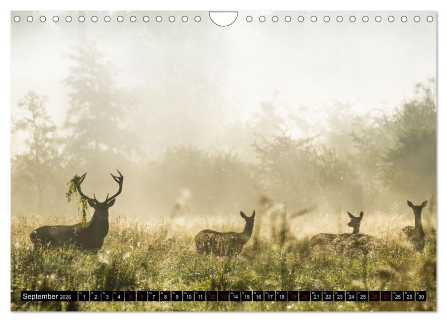 InsideView 14