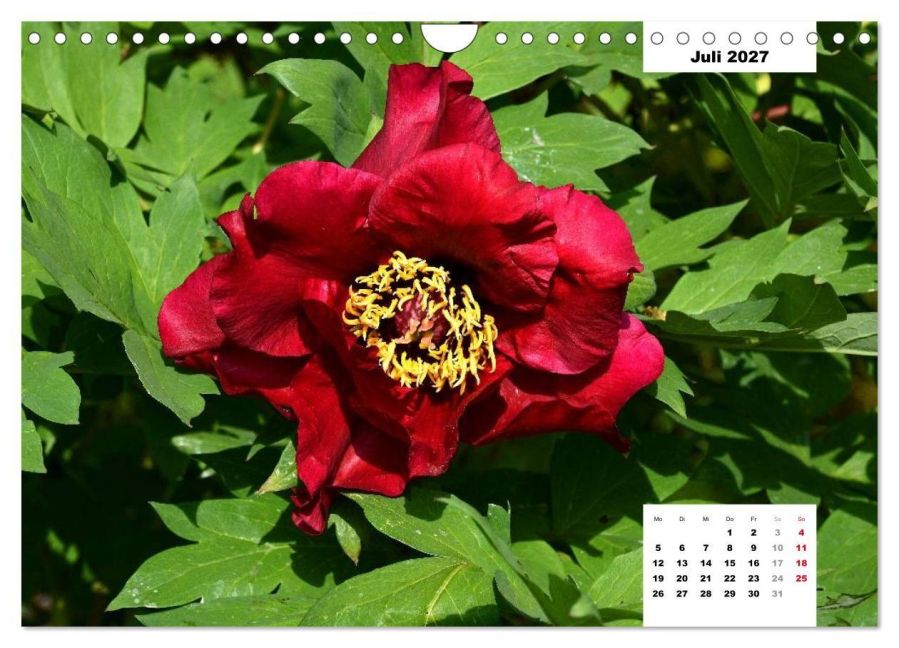 InsideView 12