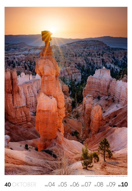 InsideView 41