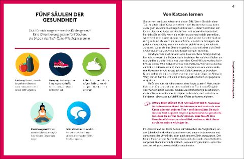 InsideView 2