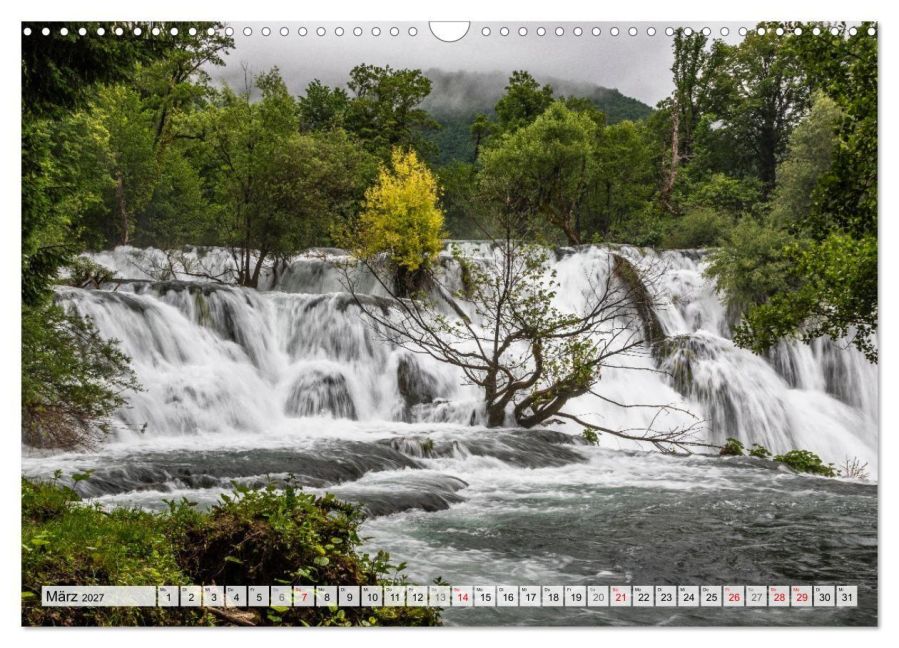 InsideView 8