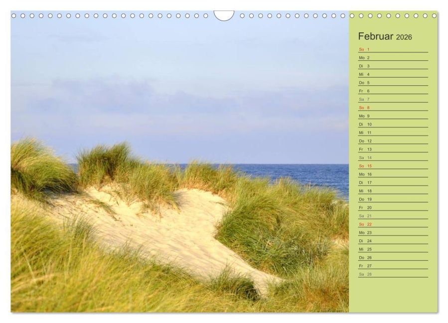 InsideView 7