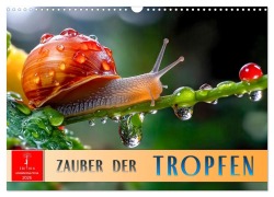 Cover-Bild zum Titel 'Zauber der Tropfen (Wandkalender 2026 DIN A3 quer), CALVENDO Monatskalender' von 'Peter Roder'
