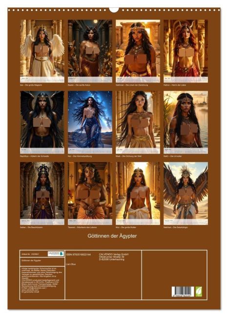 InsideView 5