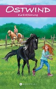 Cover-Bild zum Titel 'Ostwind - Die Entführung' von 'Schwarz Rosa'