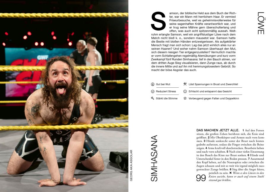 InsideView 5