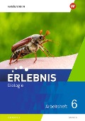 Erlebnis Biologie 6. Arbetisheft. Sachsen - 