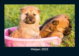 Cover-Bild zum Titel 'Welpen 2025 Fotokalender DIN A5' von 'Tobias Becker'