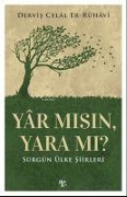 Cover-Bild zum Titel 'Yar Misin, Yara Mi' von 'Dervis Celal Er-Ruhavi'