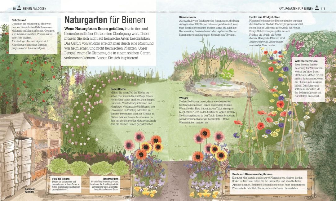 InsideView 5