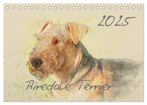 Airedale Terrier 2025 (Tischkalender 2025 DIN A5 quer), CALVENDO Monatskalender - Andrea Redecker