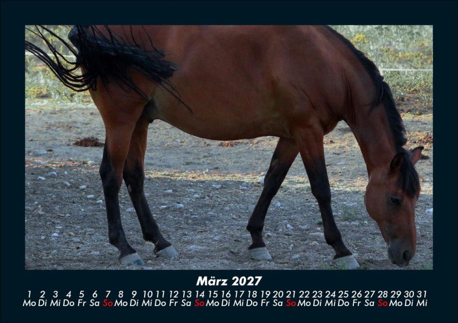InsideView 7