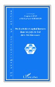 Cover-Bild zum Titel 'Productivité et capital humain dans les pays du Sud de la Méditerranée' von 'El Mouhoub Mouhoud, Maurice Catin'