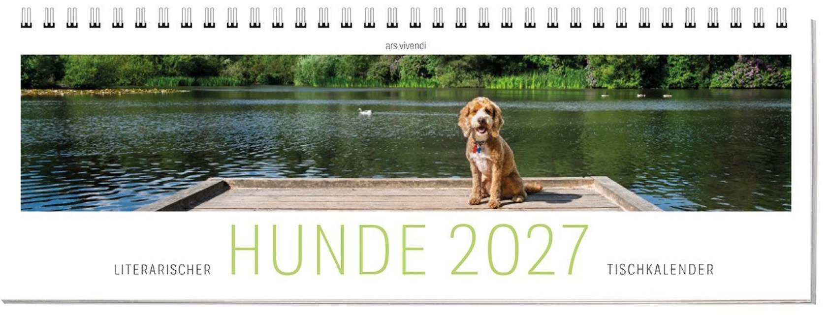 Tischkalender Hunde 2027 - Vivendi Ars