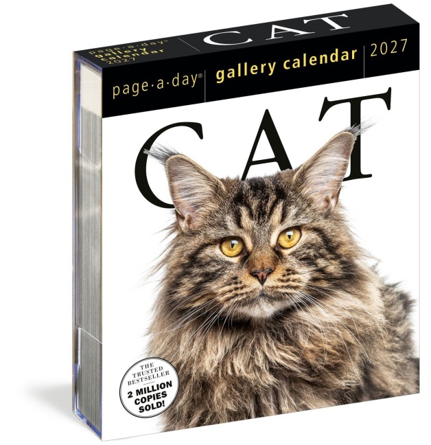 Cat Page-A-Day® Gallery Calendar 2027 - 