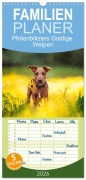 Cover-Bild zum Titel 'Familienplaner 2026 - Pfotenblitzers Goldige Welpen mit 5 Spalten (Wandkalender, 21 x 45 cm) CALVENDO' von 'Babette Schwob Pfotenblitzer Tierfotografie'