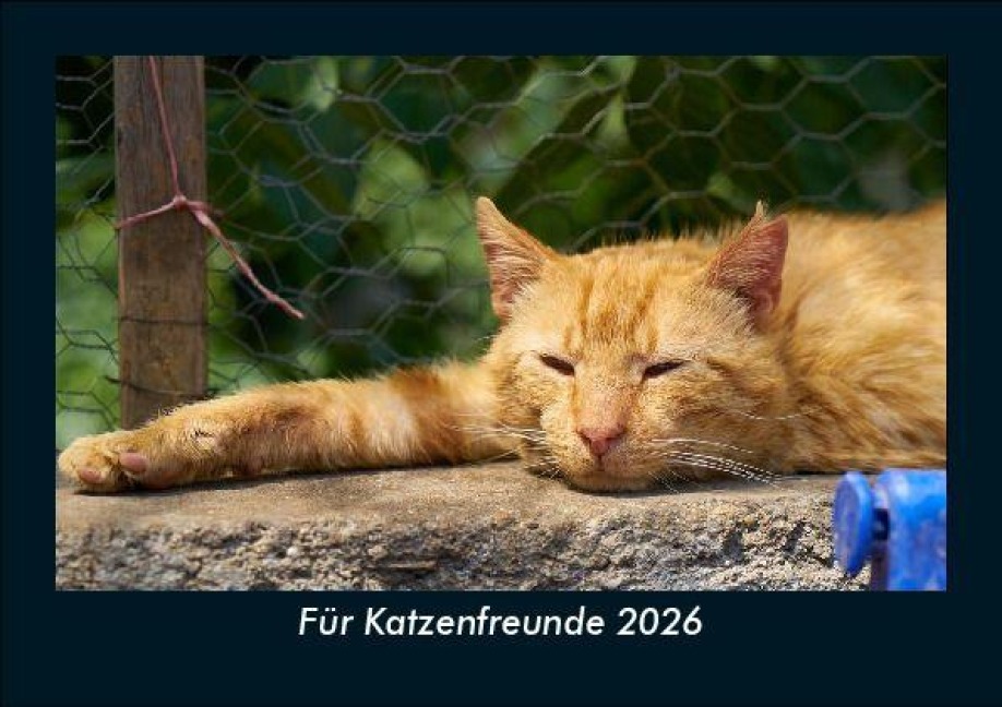 Für Katzenfreunde 2026 Fotokalender DIN A5 - Tobias Becker