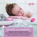Cover-Bild zum Titel 'Klassik zum Wohlfühlen' von 'Various Artists'