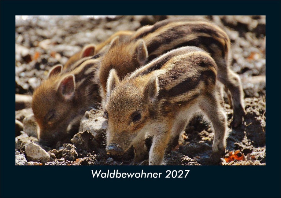 Waldbewohner 2027 Fotokalender DIN A5 - Tobias Schmitt, Kevin Heber